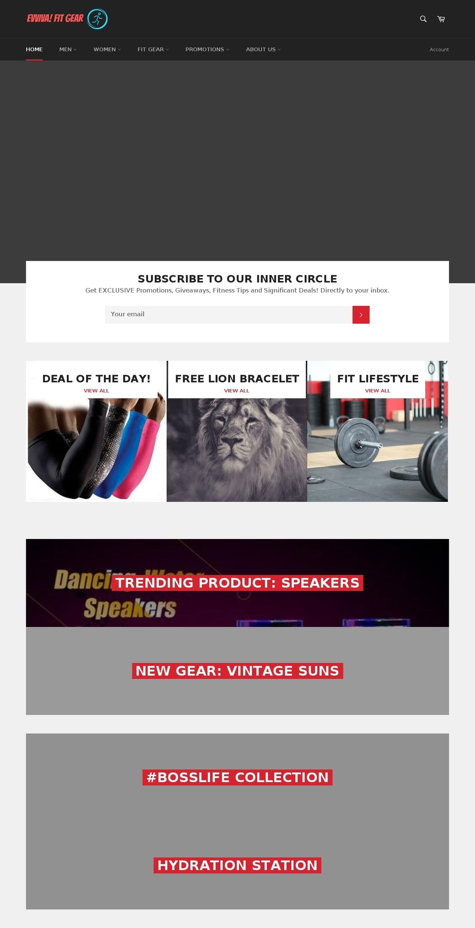evviva-fit-gear.myshopify.com shopify website screenshot