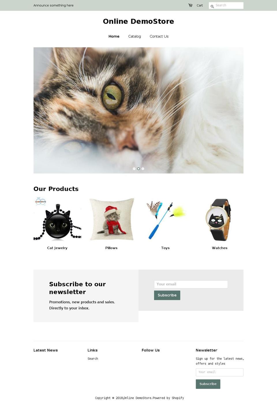 ewebsite.biz shopify website screenshot