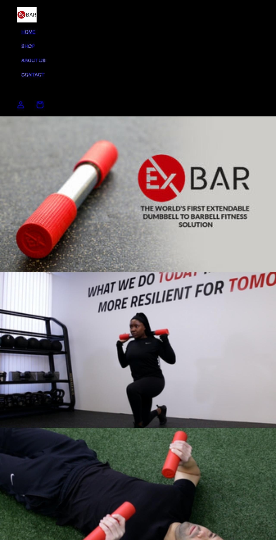 ex-bar.com shopify website screenshot