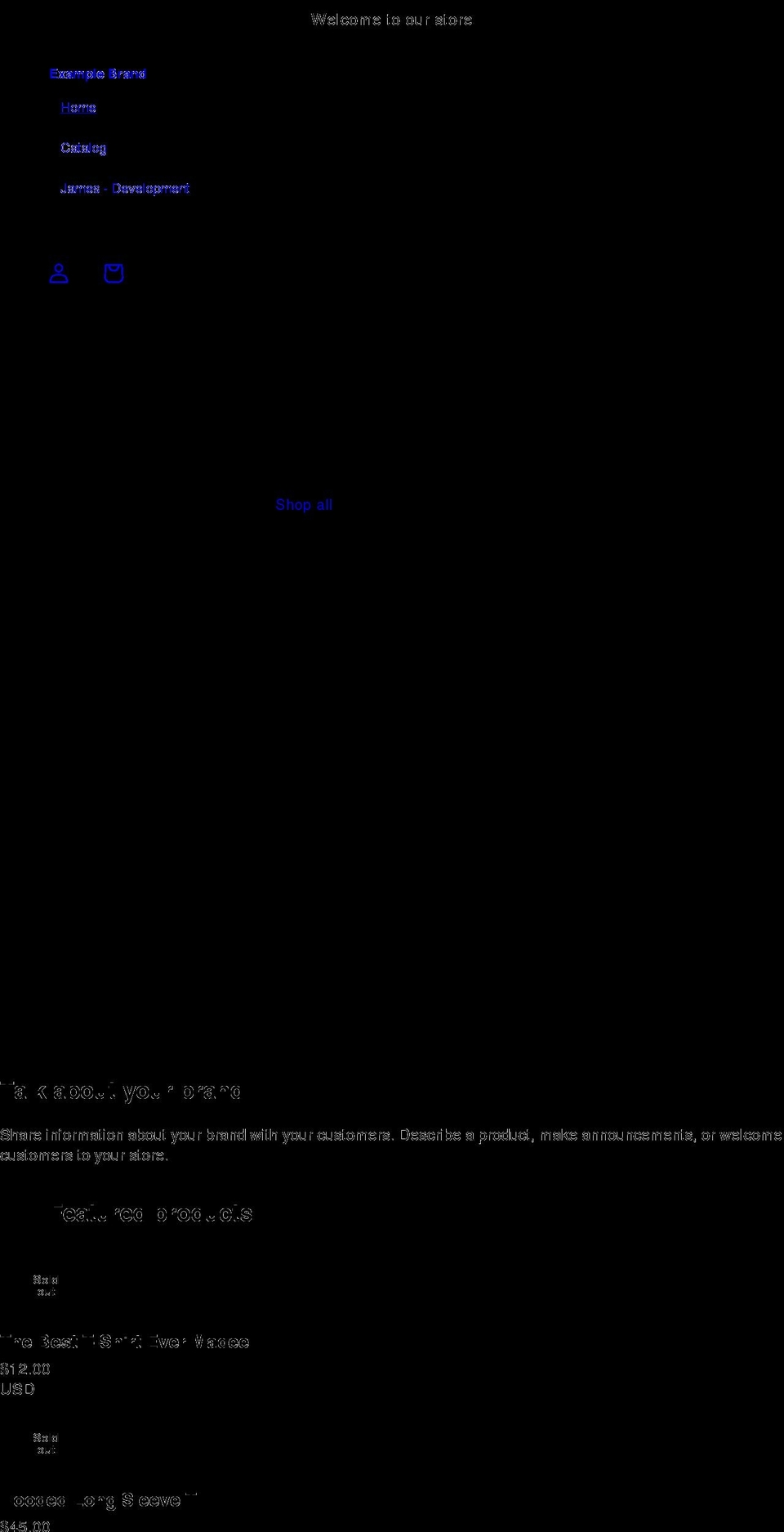 example-brand.com shopify website screenshot