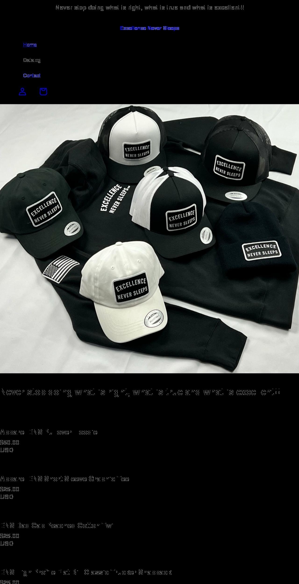 excellenceneversleeps.com shopify website screenshot