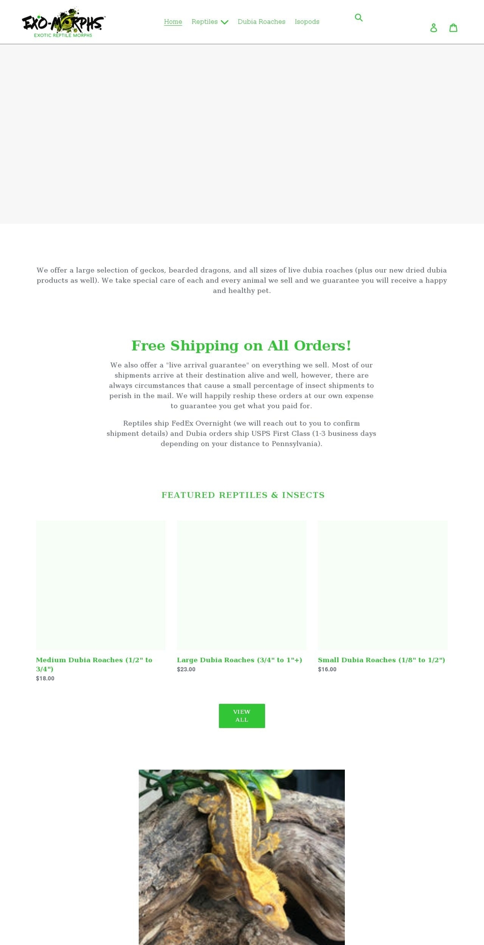 exo-morphs.com shopify website screenshot