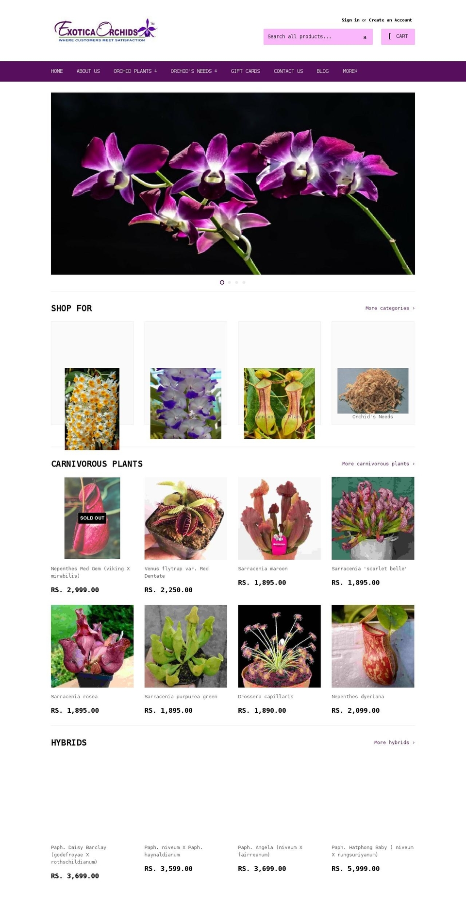 exoticaorchids.in shopify website screenshot