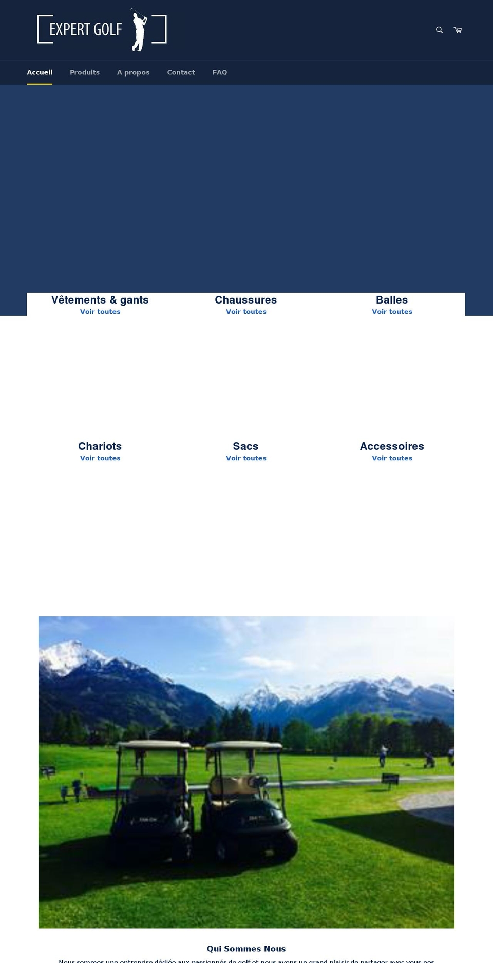 expert-golf.com shopify website screenshot