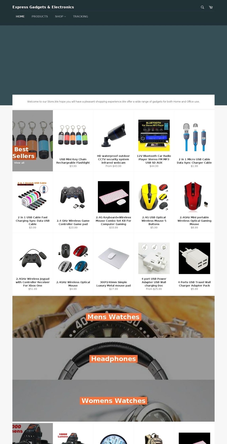 expressgadgetsandelectronics.com shopify website screenshot