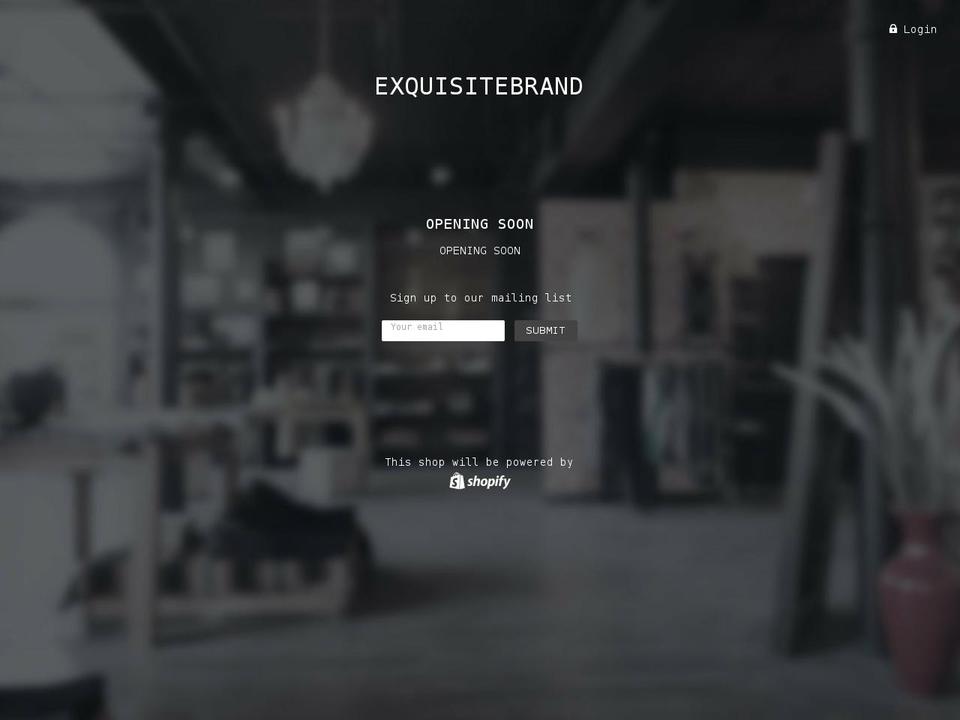 exquisitebrand.com shopify website screenshot
