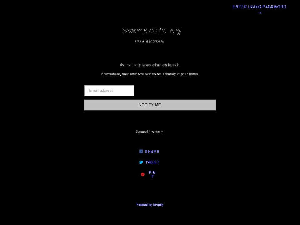 exxamplegallery.com shopify website screenshot