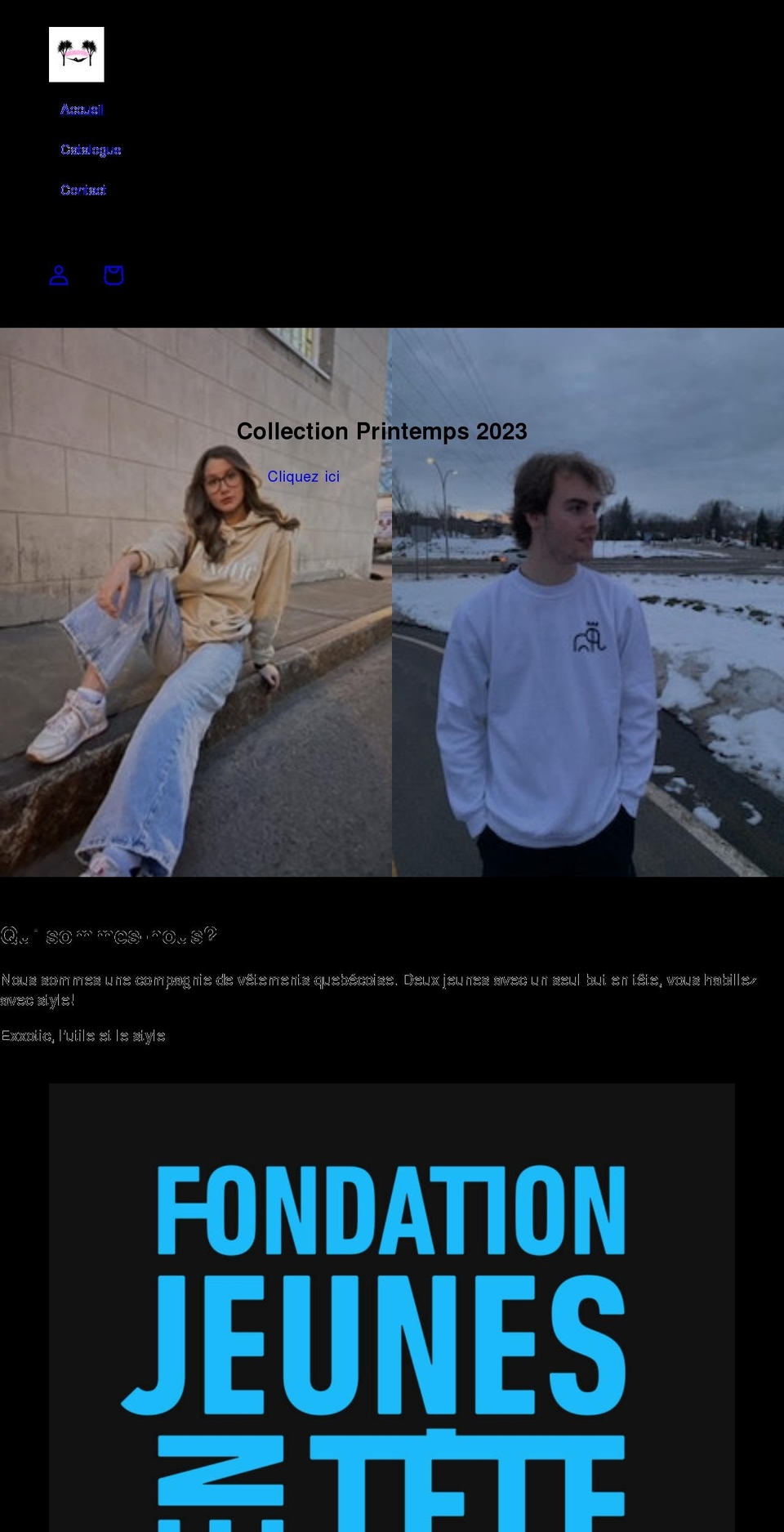 exxoticshop.com shopify website screenshot