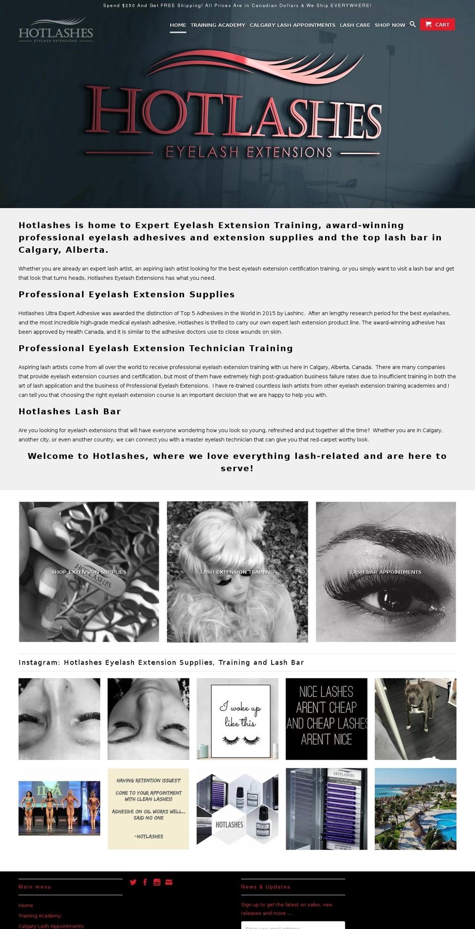eyelash-extensions-calgary.com shopify website screenshot