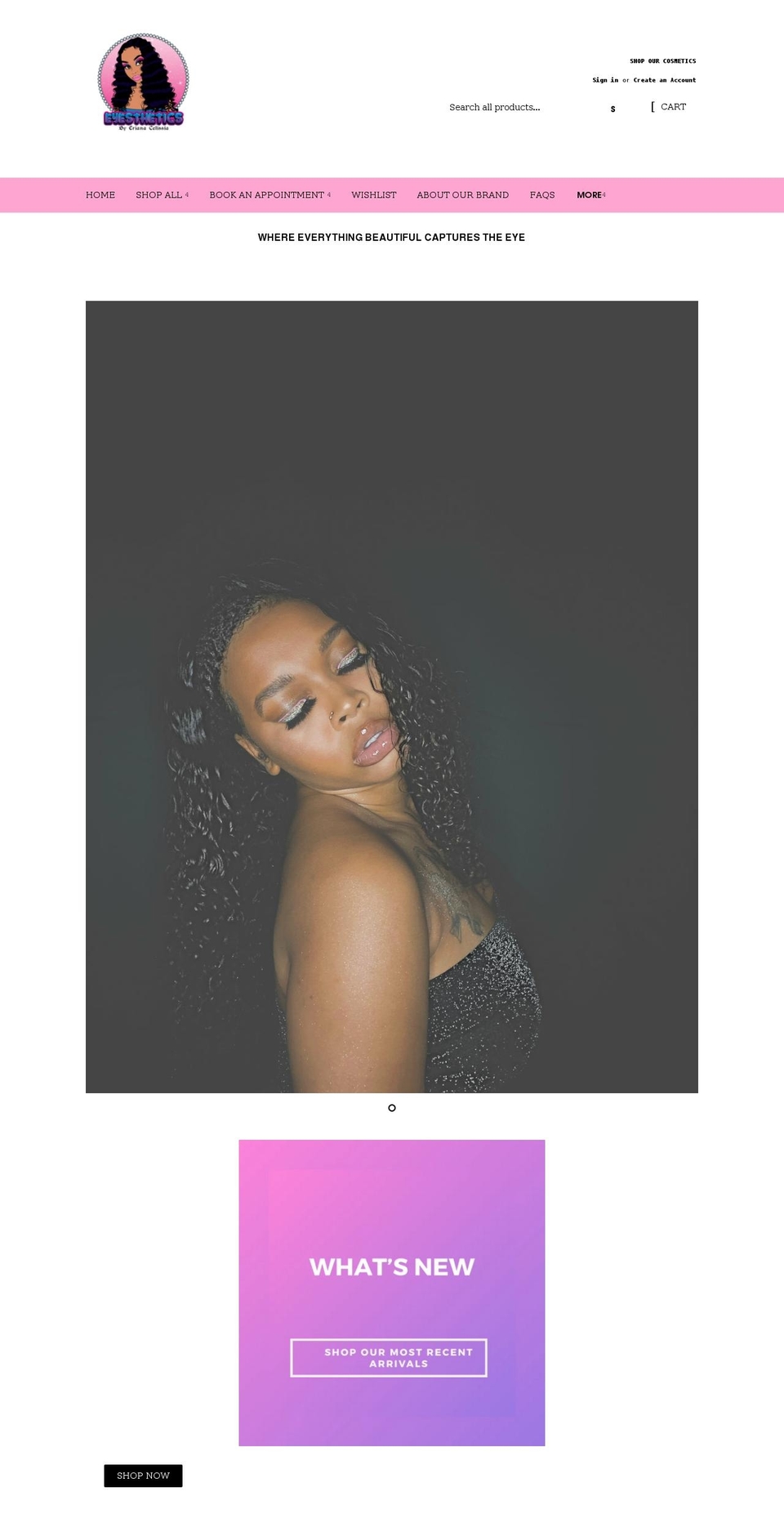 eyestheticsbyec.com shopify website screenshot