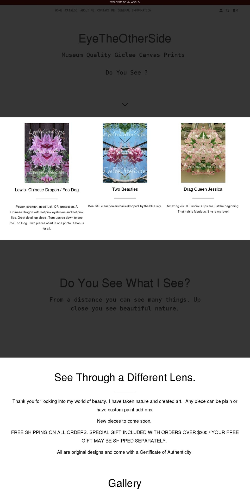 eyetheotherside.com shopify website screenshot