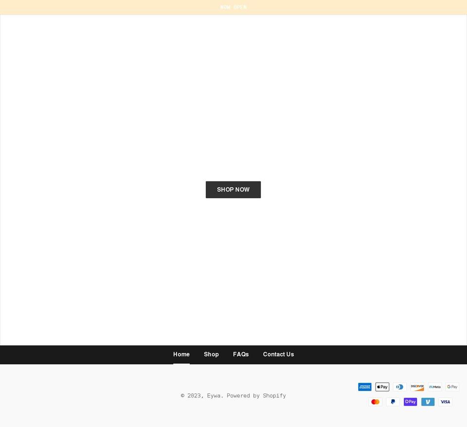 eywastore.com shopify website screenshot