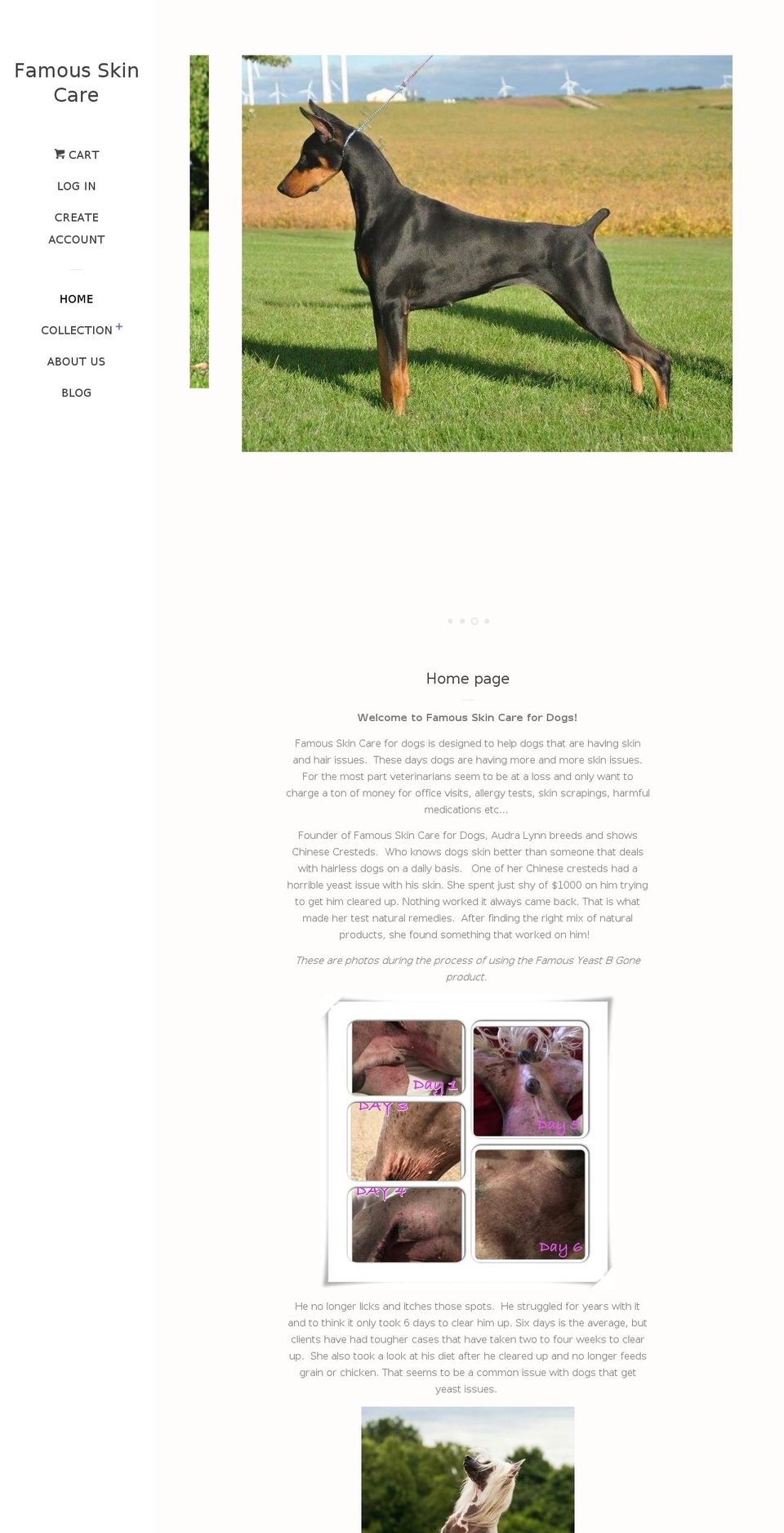 famousskincarefordogs.com shopify website screenshot