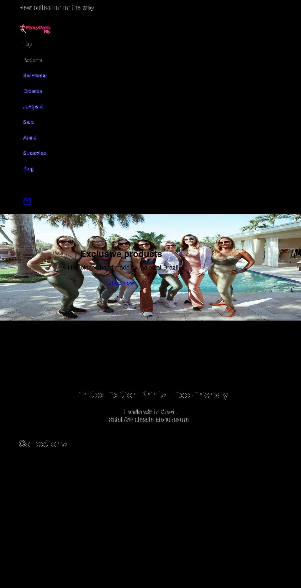 fancypantsfity.com shopify website screenshot