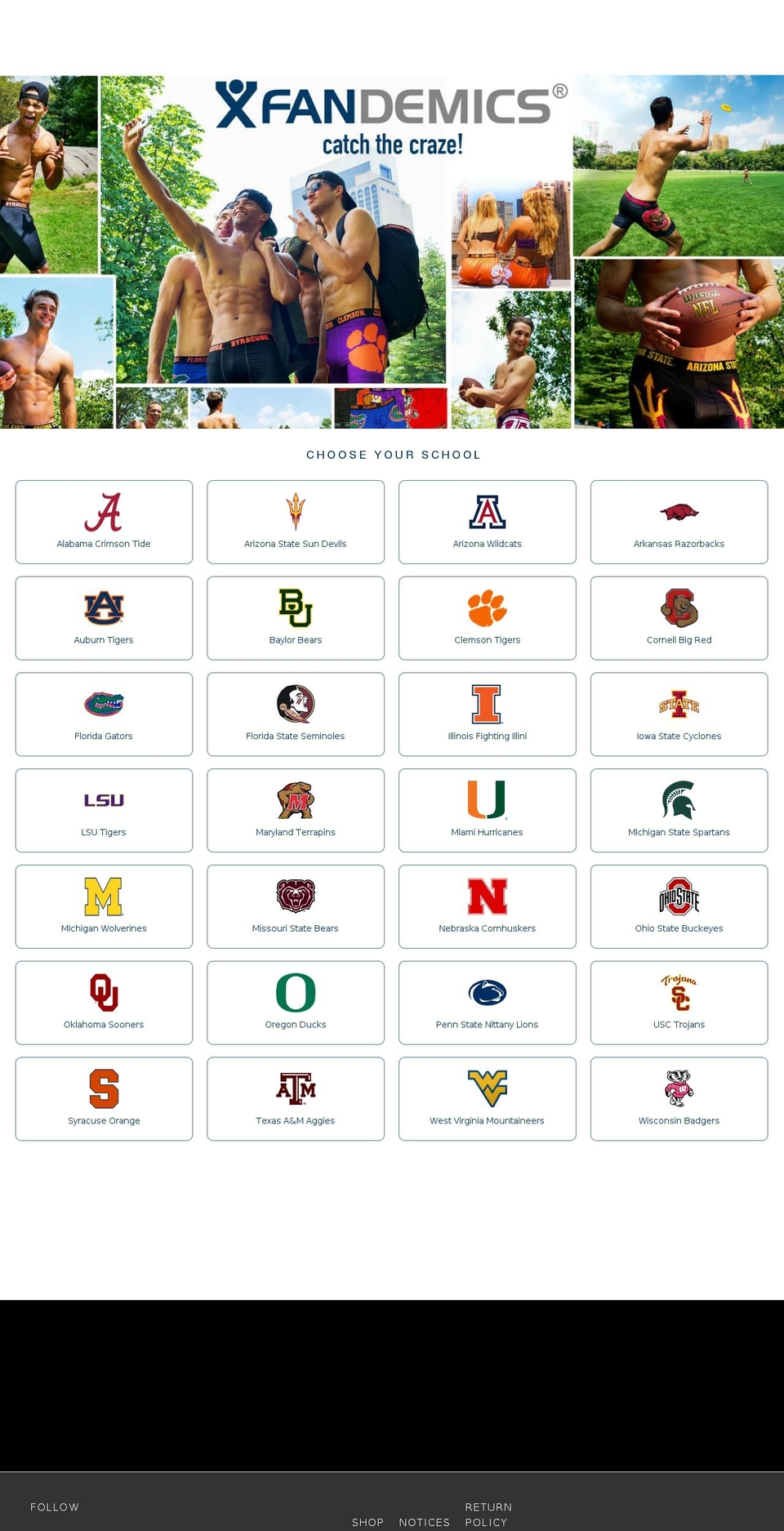 fandemics.com shopify website screenshot