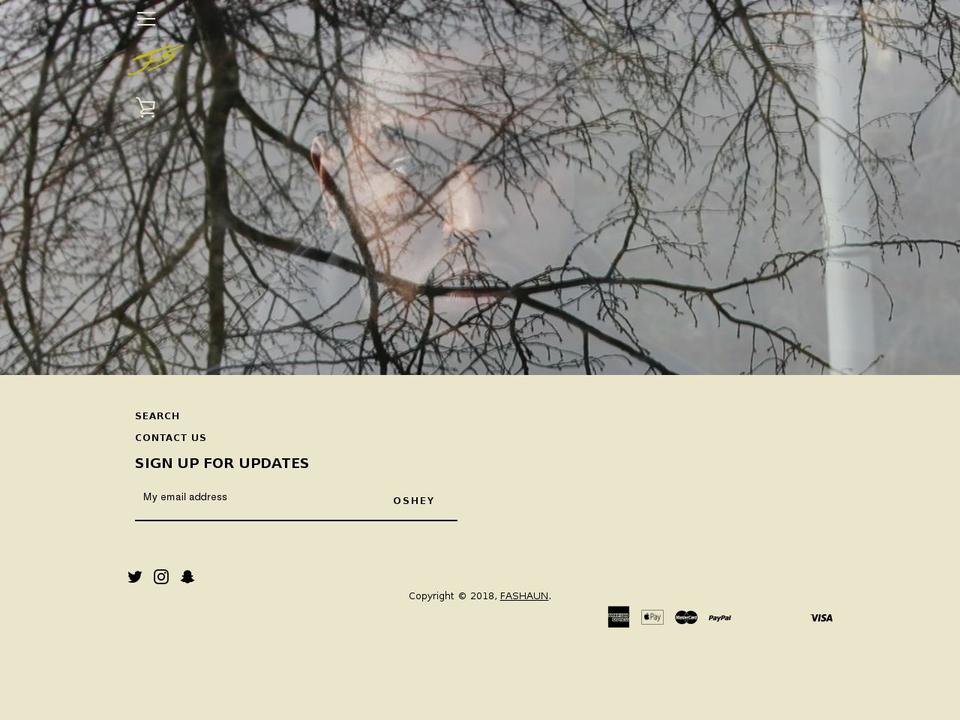fashaunclothing.com — Shopify storefront screenshot