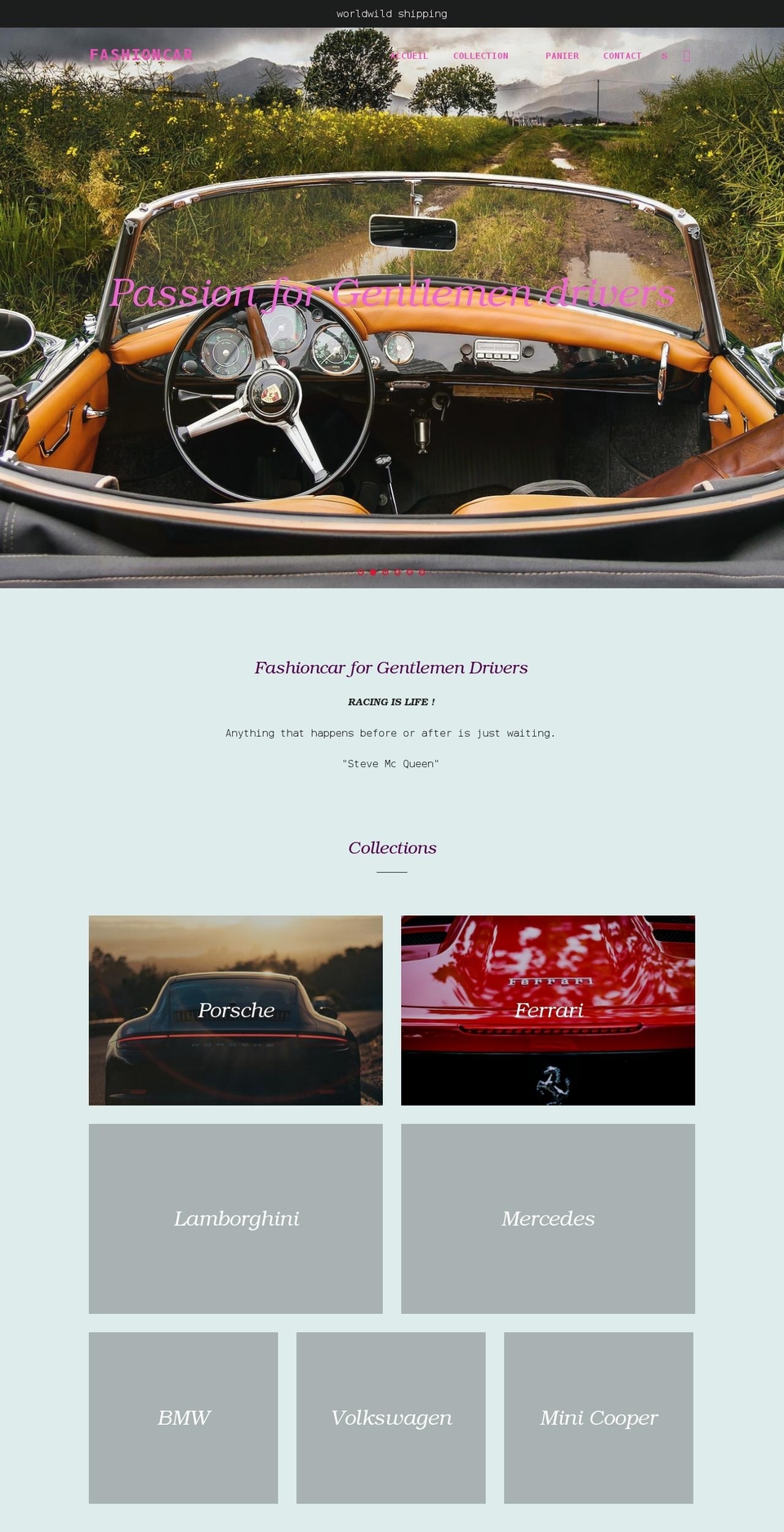 fashioncar.store shopify website screenshot