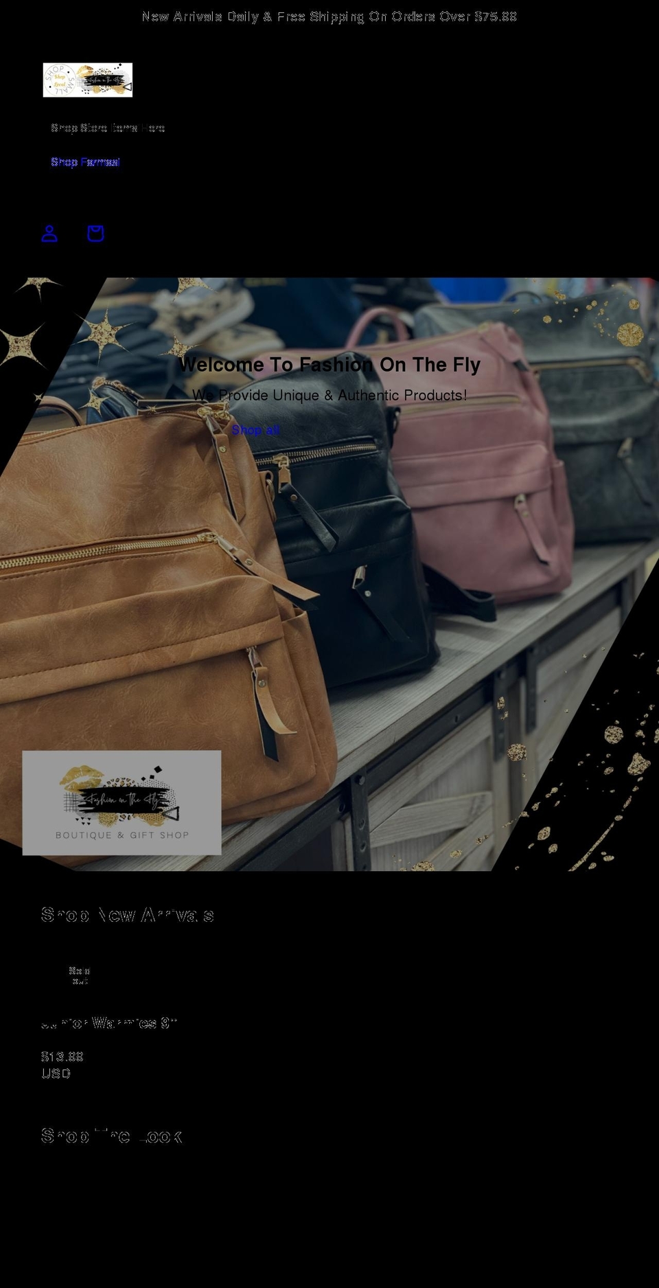 fashiononthefly.com shopify website screenshot