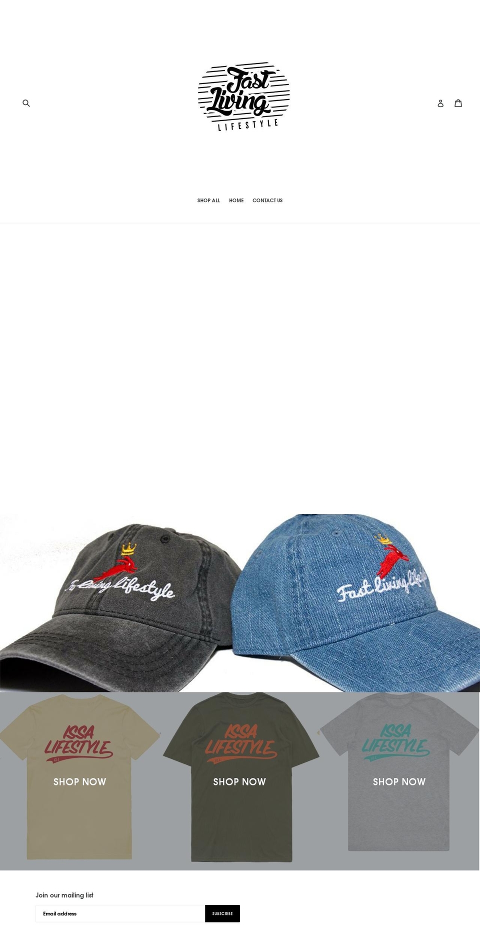 fastlivinglifestyle.com — Shopify storefront screenshot