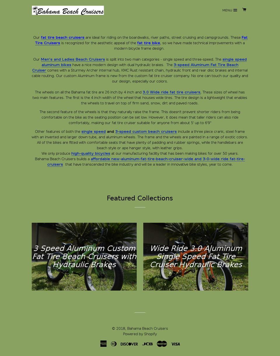 fattirebeachcruisers.net shopify website screenshot