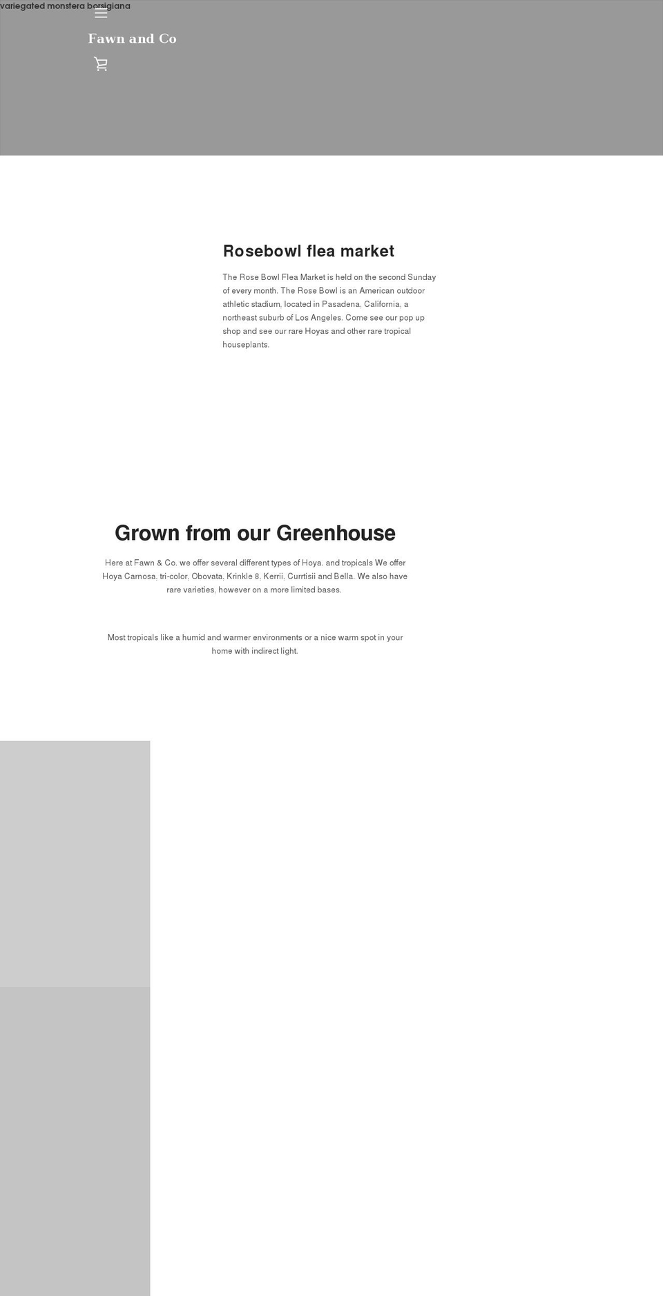 fawnand.company shopify website screenshot