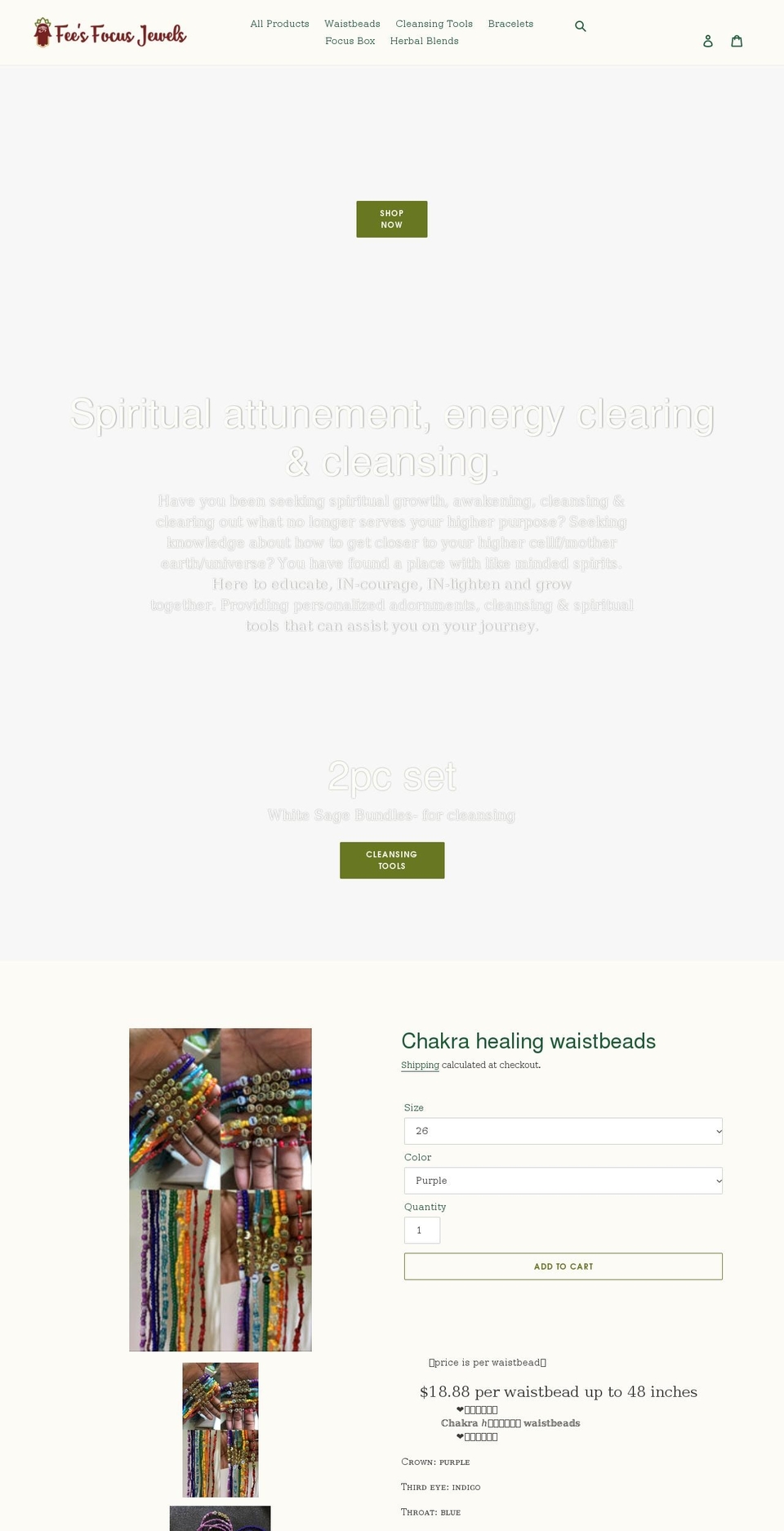 feesfocusjewels.com shopify website screenshot