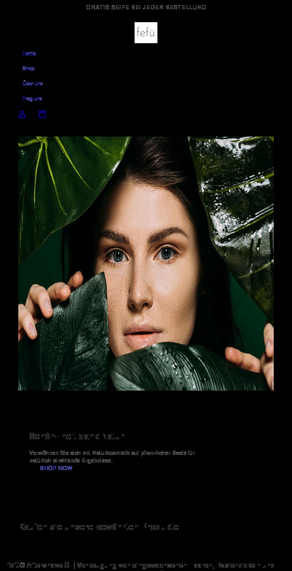 fefue.com shopify website screenshot