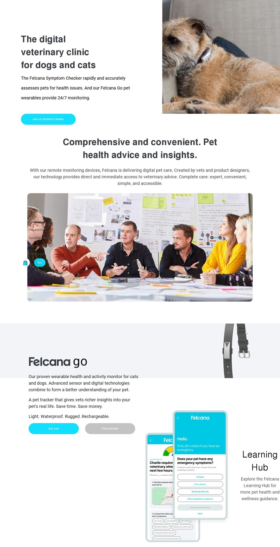 felcana.com shopify website screenshot