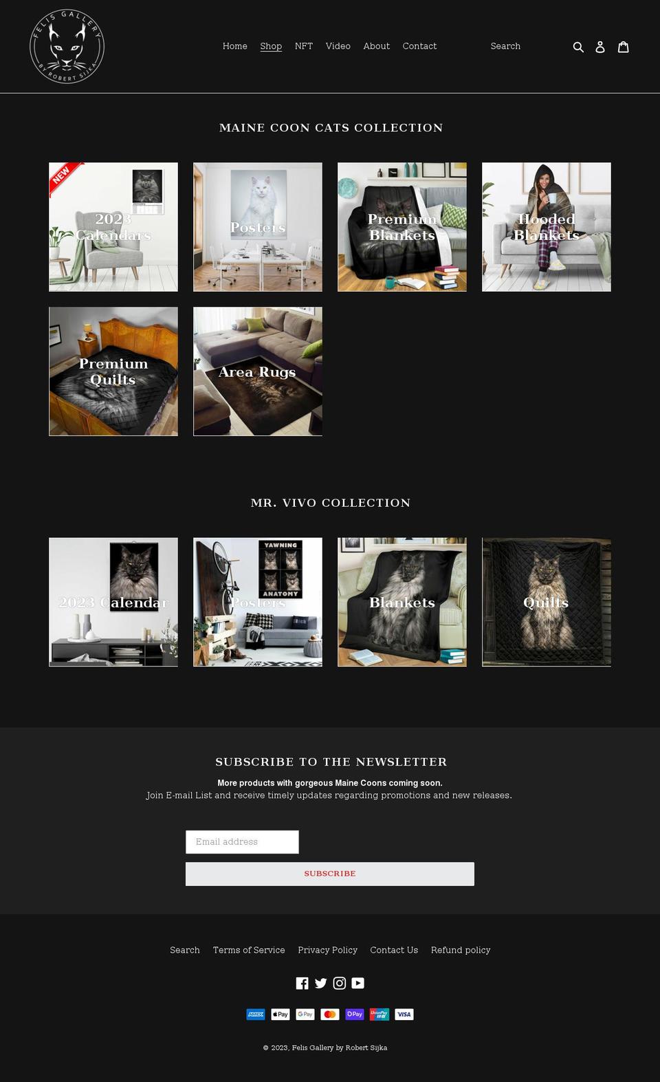 felisgallery.shop shopify website screenshot