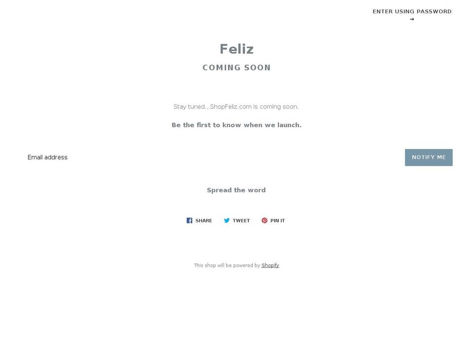 felizbrooklyn.com — Shopify storefront screenshot