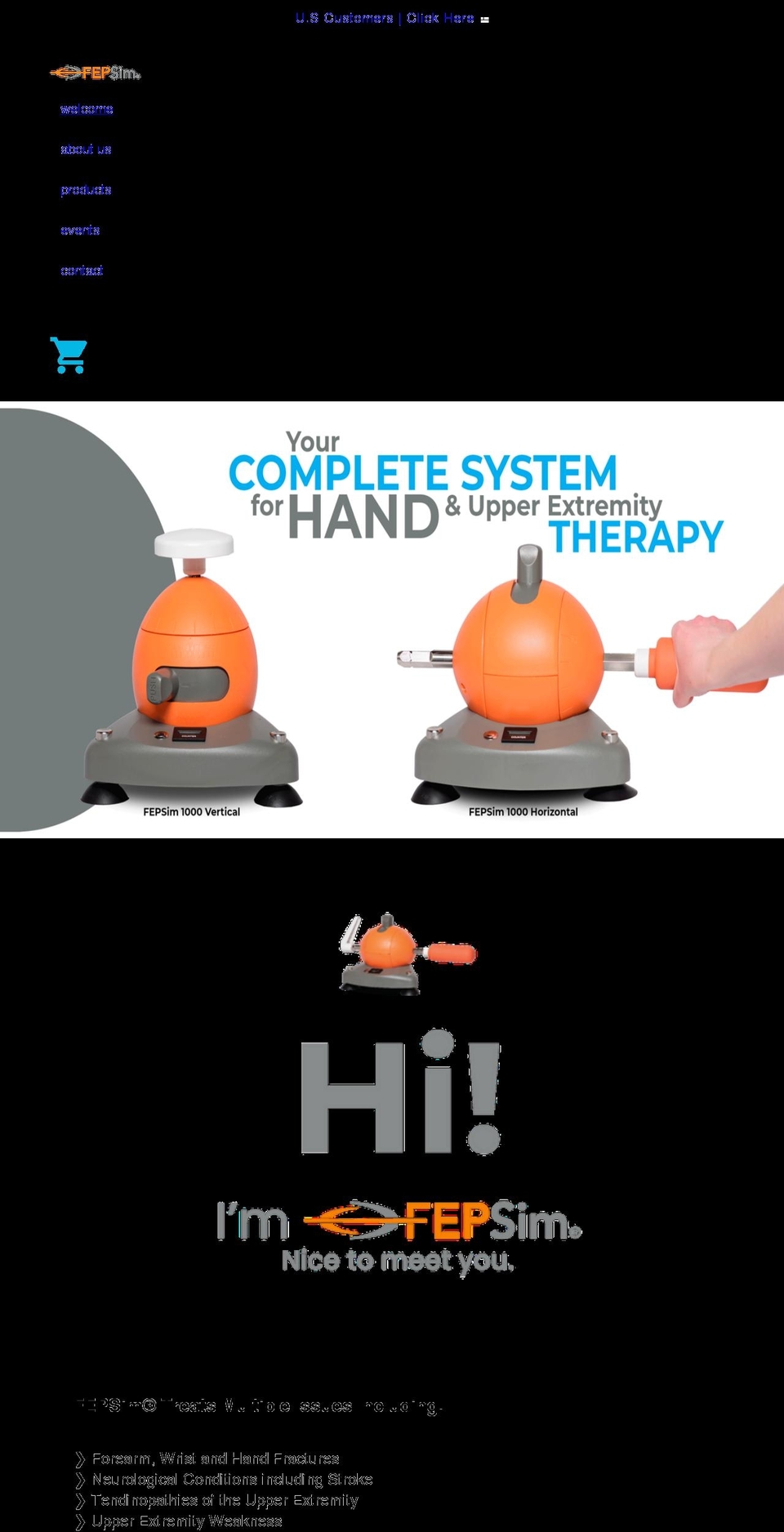 fepsim.com shopify website screenshot