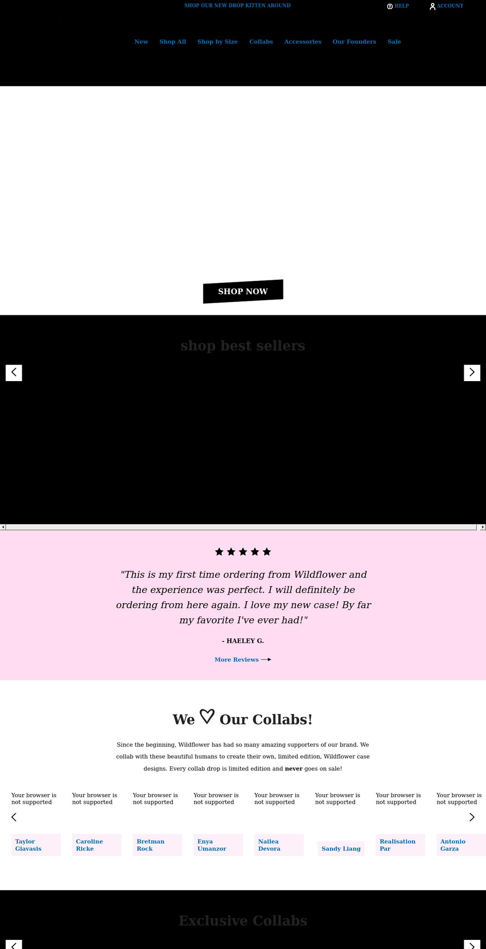 ferrydreams.com shopify website screenshot