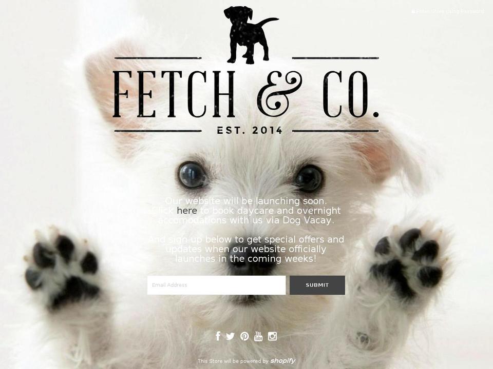 fetchandco.ca shopify website screenshot