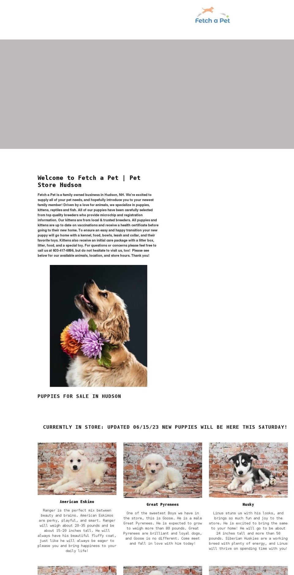 fetchapetshop.com shopify website screenshot
