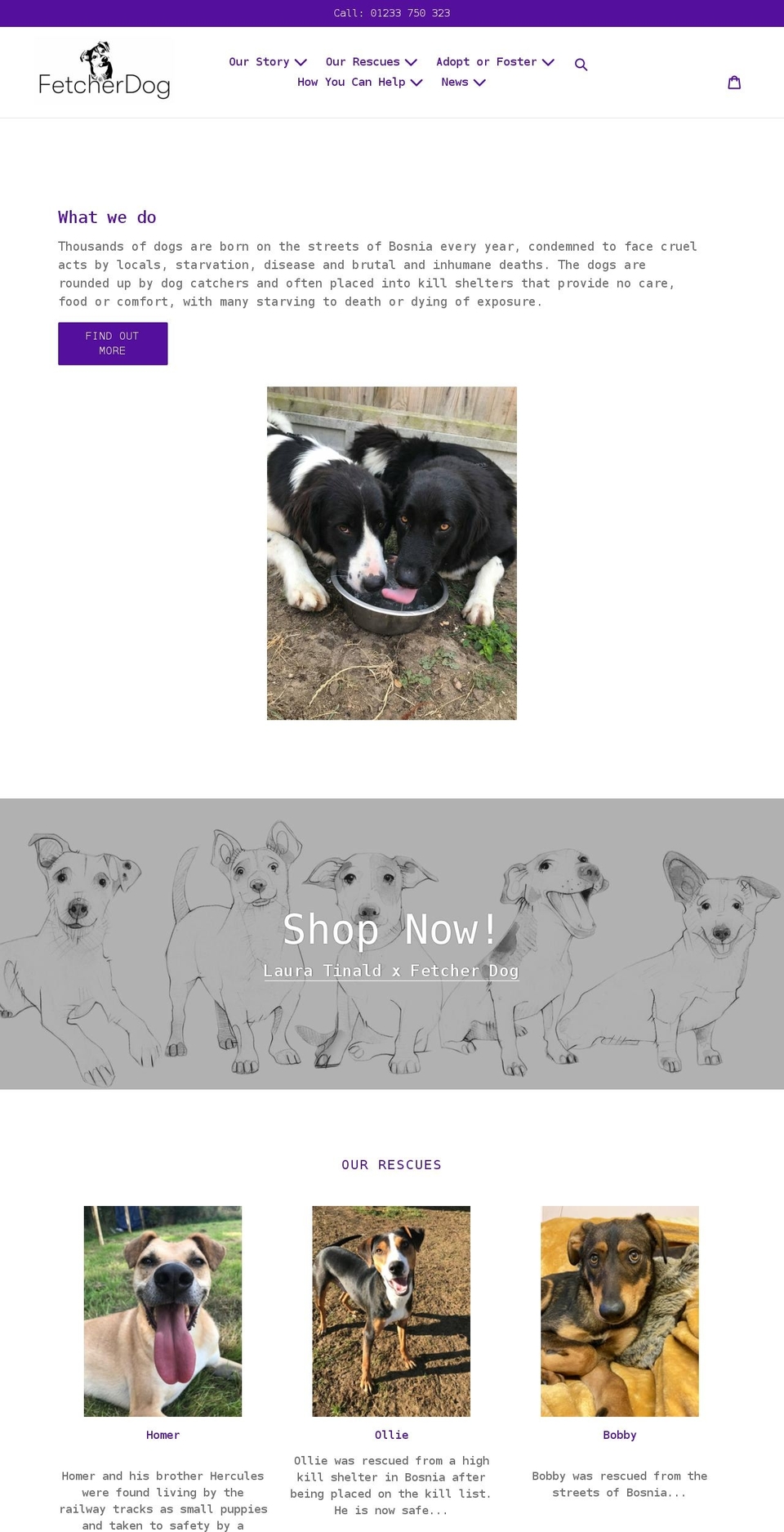 fetcherdog.com shopify website screenshot