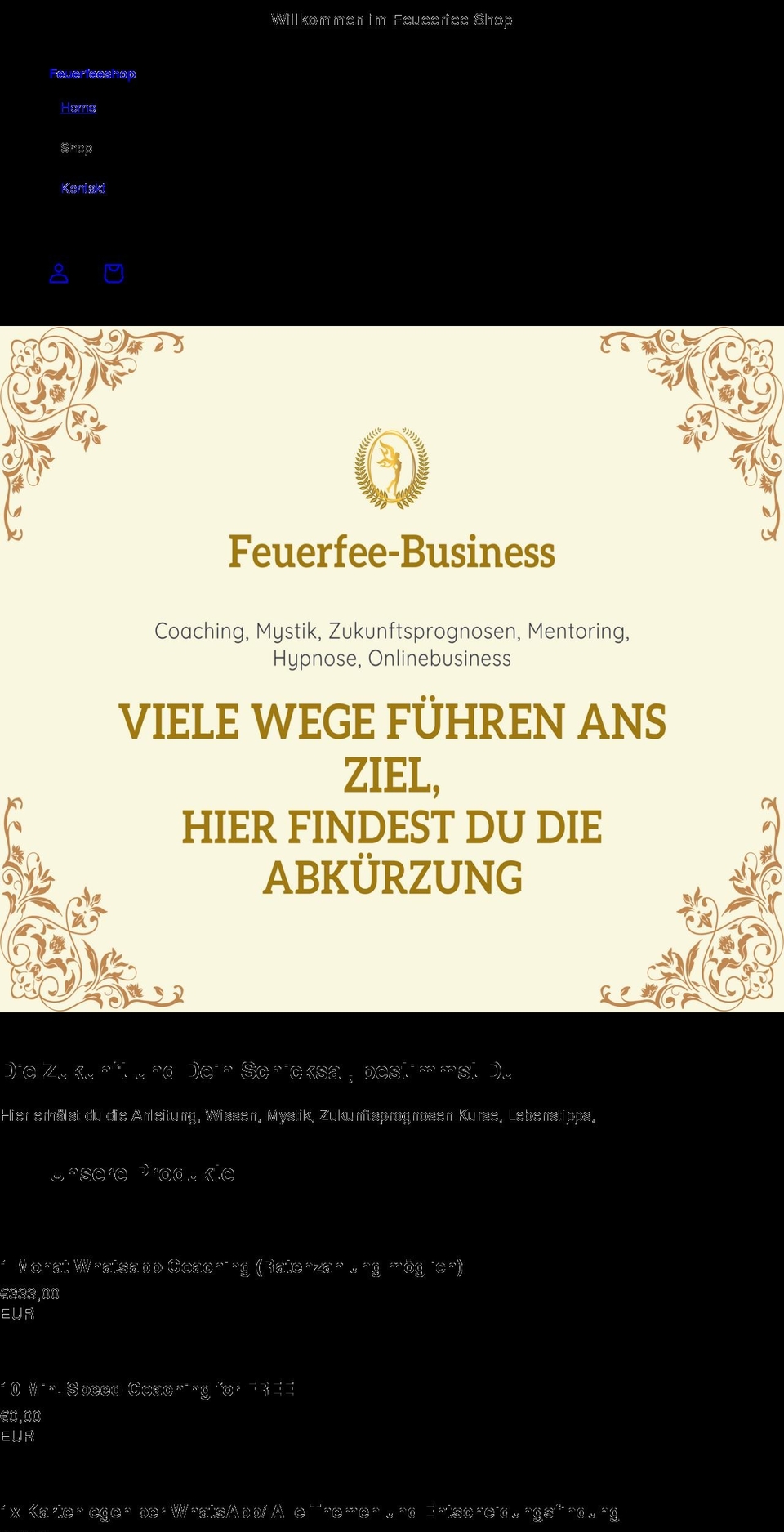 feuerfeeshop.de shopify website screenshot