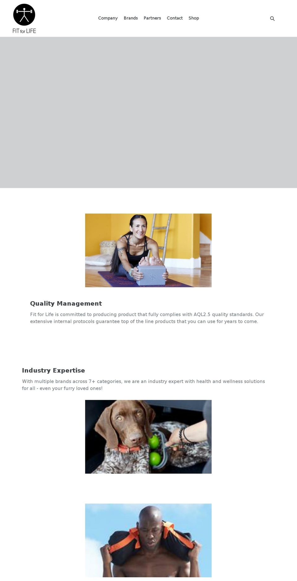 ffl-group.com shopify website screenshot