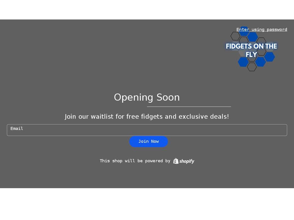 fidgetsonthefly.com shopify website screenshot