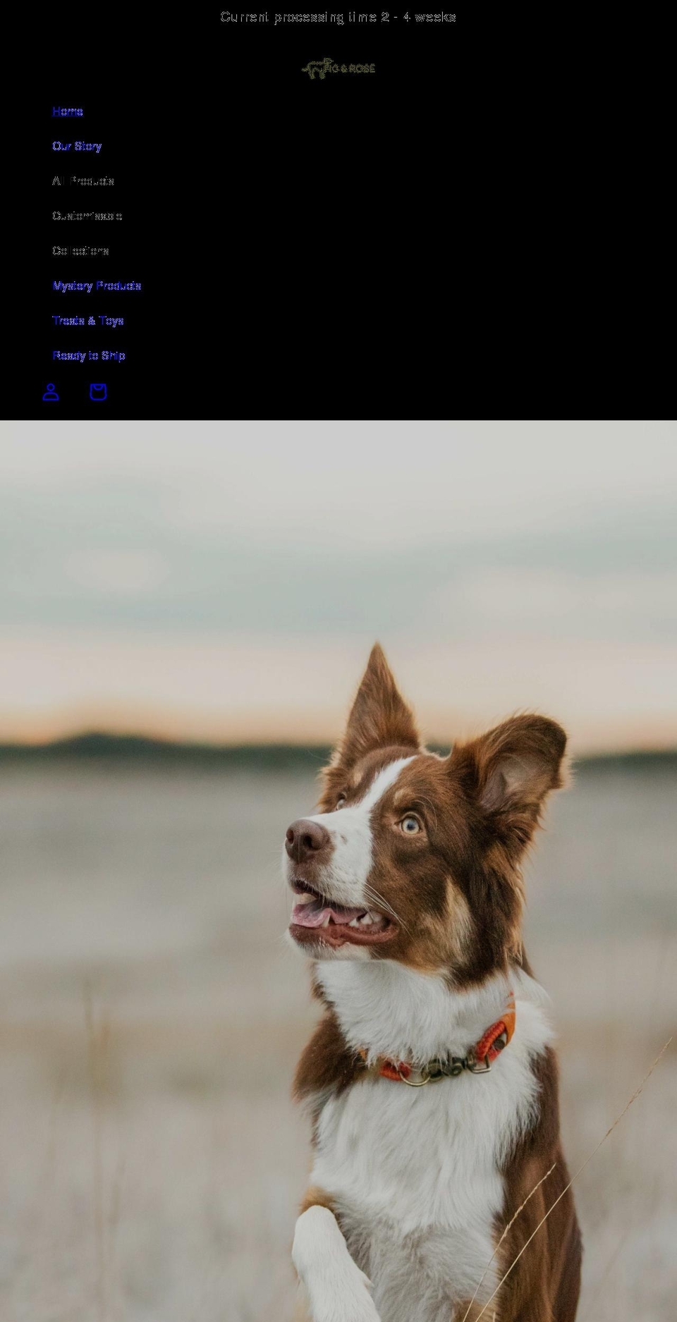 figandrosecollars.co.uk shopify website screenshot