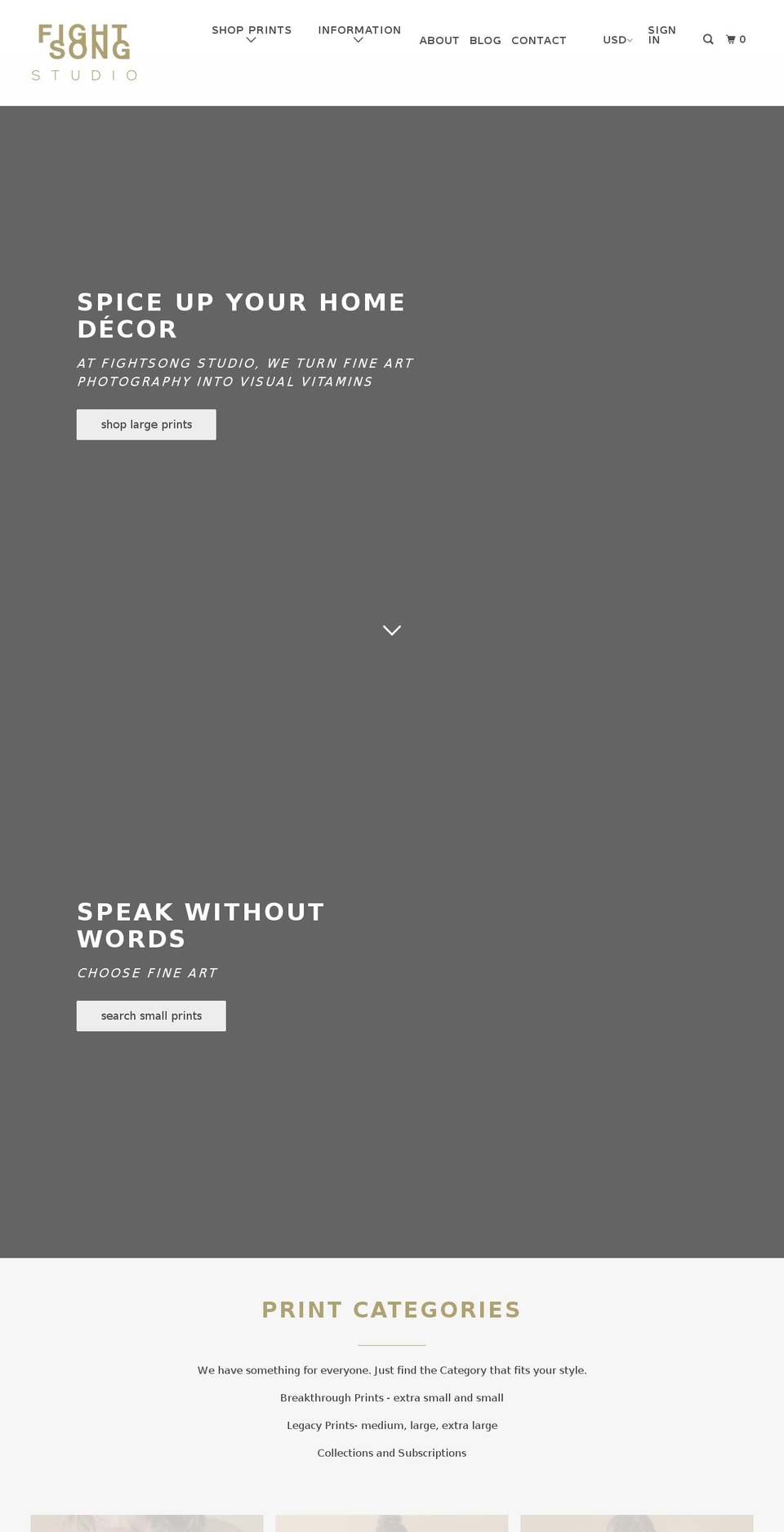fightsongstudio.com shopify website screenshot