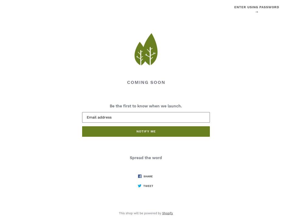 find4youaccessories.com — Shopify storefront screenshot