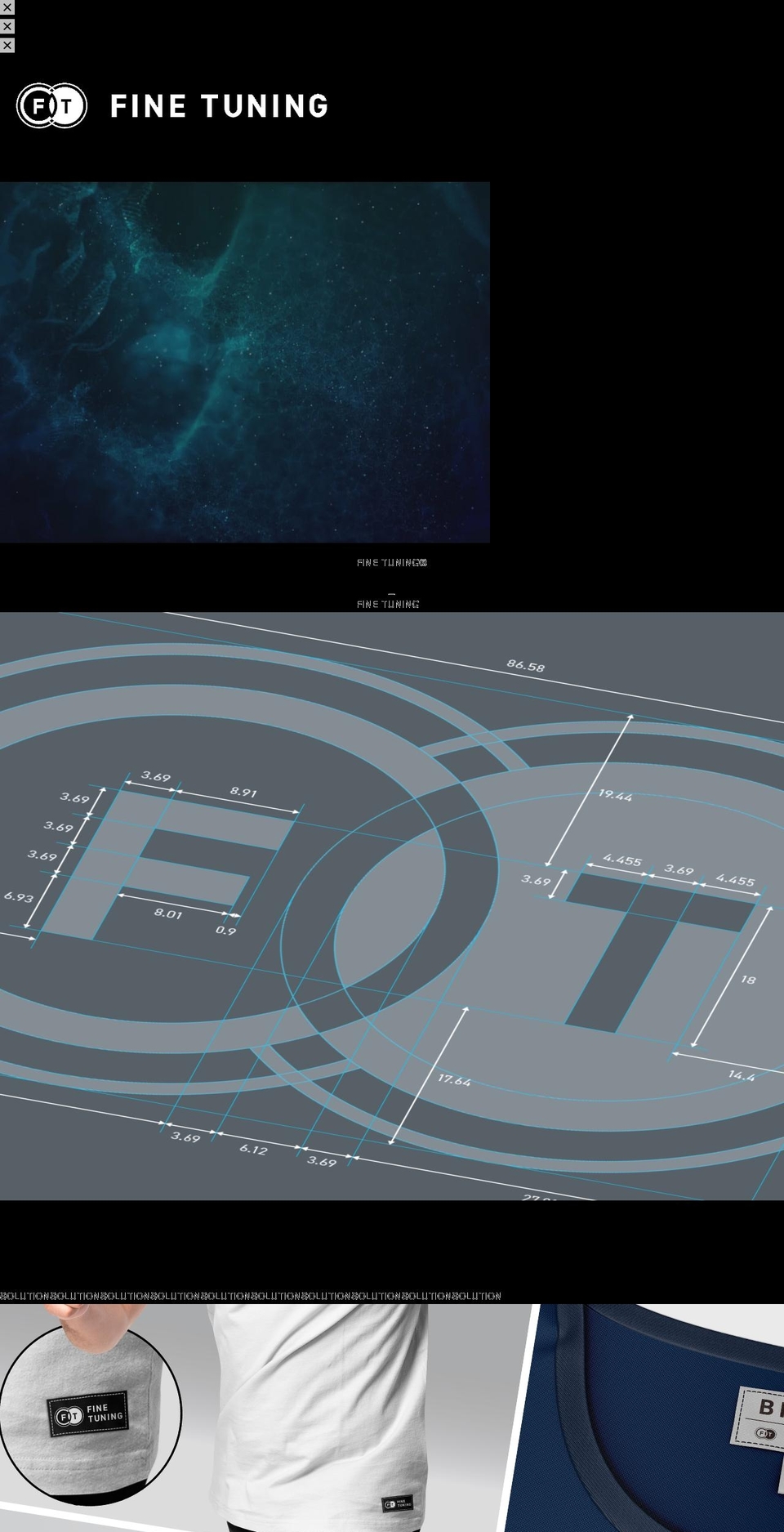 fine-tuning.com shopify website screenshot