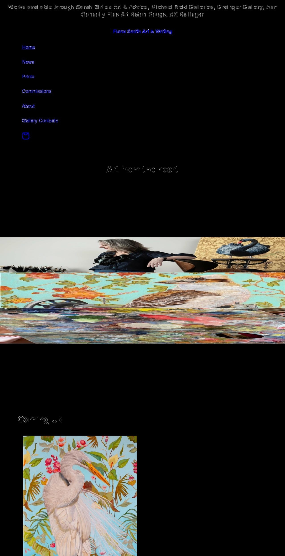 fionasmithart.com shopify website screenshot