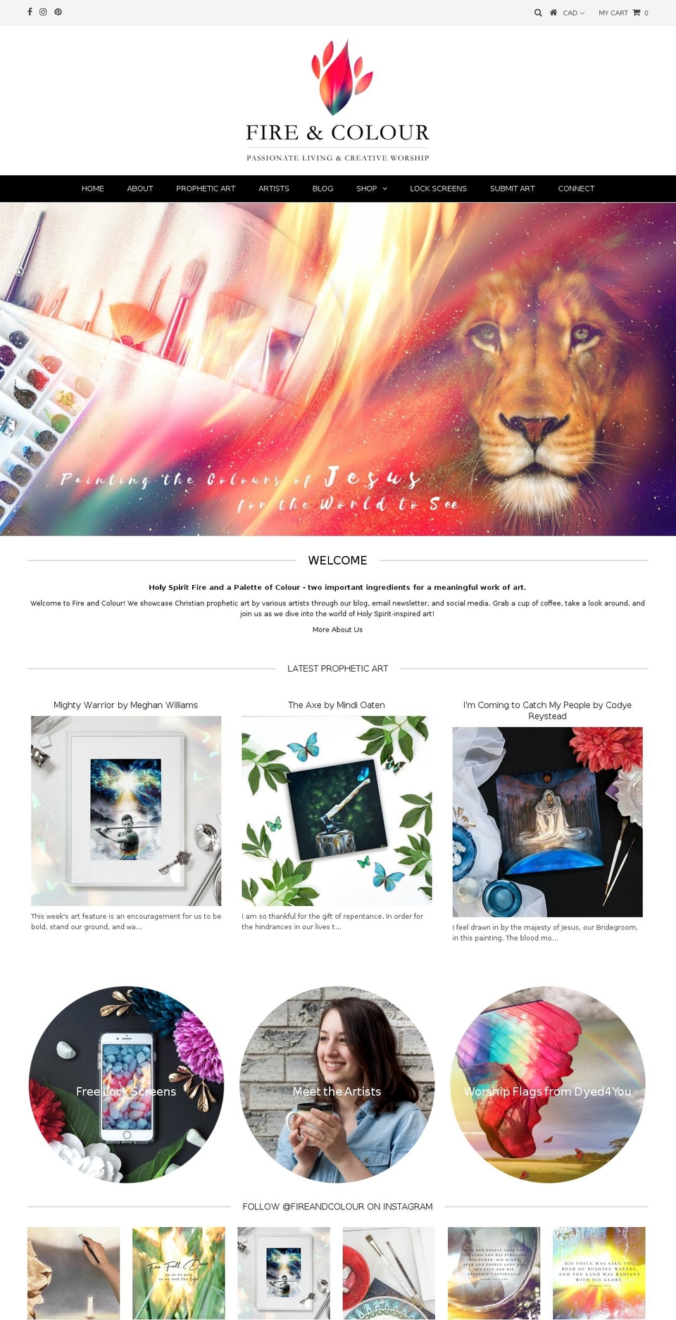 fireandcolour.ca shopify website screenshot