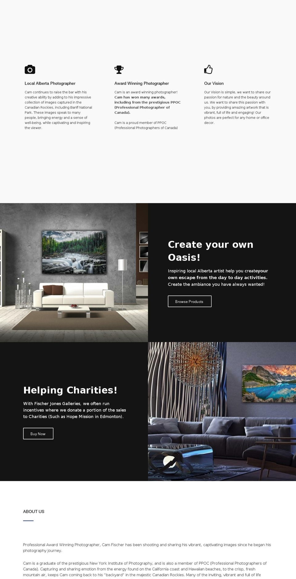 fischerjonesgalleries.com shopify website screenshot