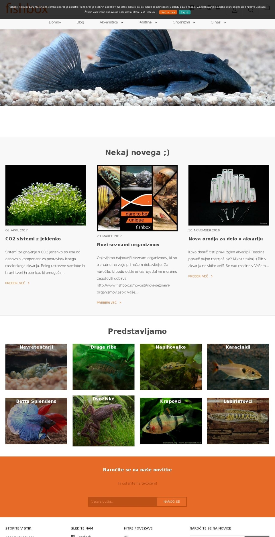 fishbox.pet shopify website screenshot