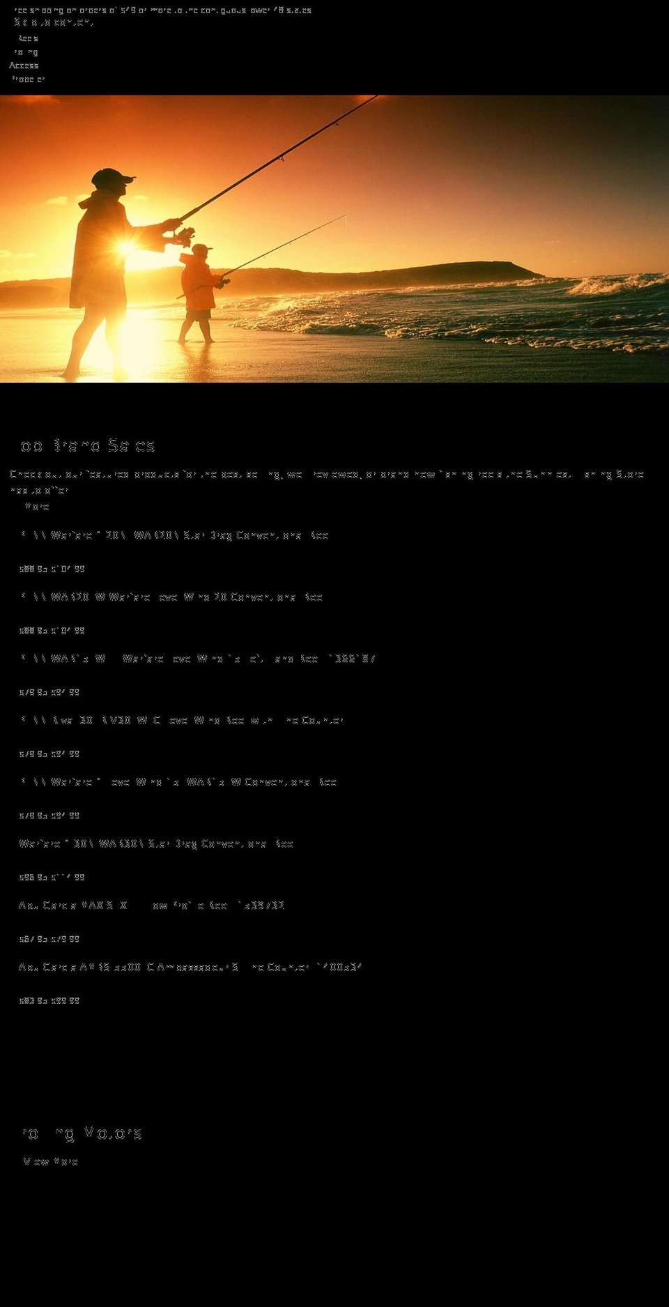 fishingsun.com shopify website screenshot