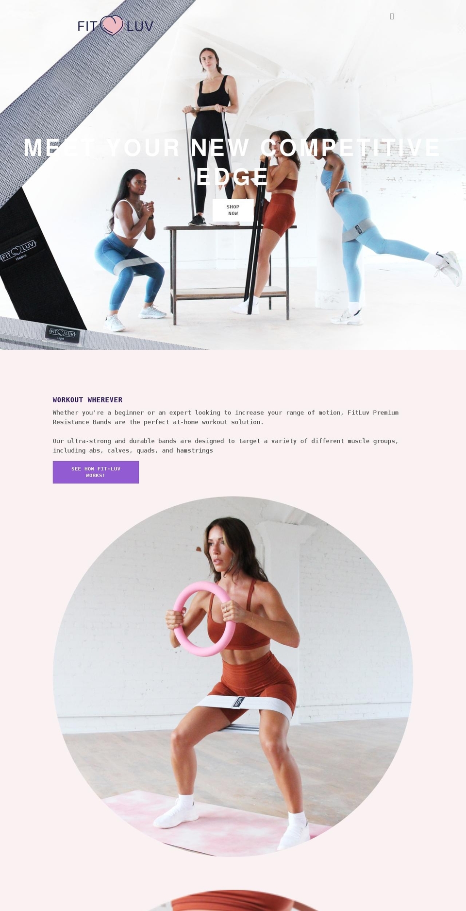 fit-luv.com shopify website screenshot
