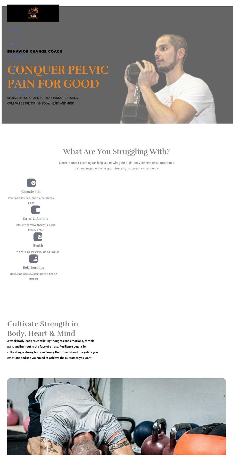 fitalfa.com shopify website screenshot