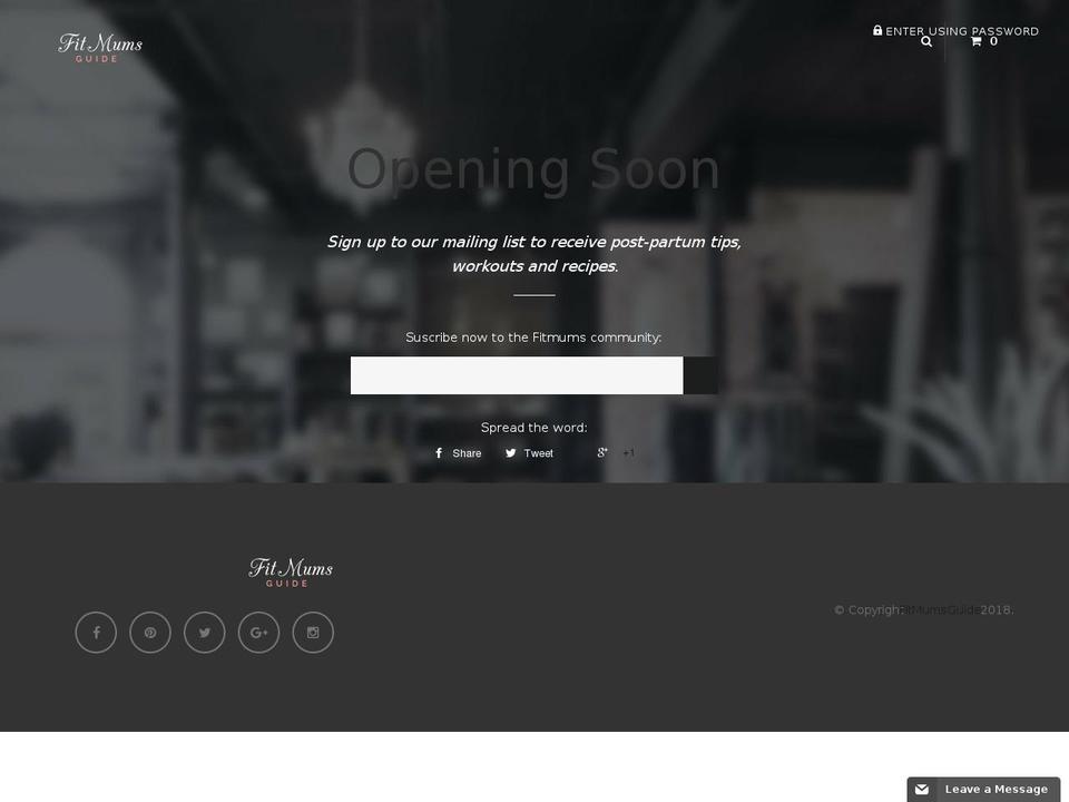 shopex Shopify theme site example fitmumsguide.com
